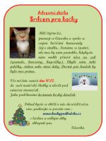 Adventní sbírka - srdcem pro kočky