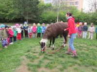 IMG_1208.jpg