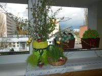 DSCN4053.jpg