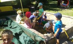 20160623_095224.jpg