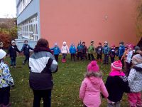 IMG_20171113_101805.jpg