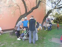 DSCN1136.JPG