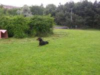 DSCN2420.JPG