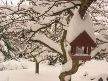DSCN9527.JPG