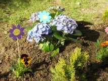DSCN1153.JPG