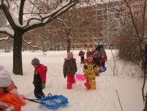 DSCN9531.JPG