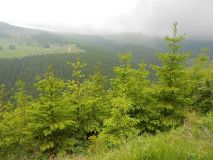 DSCN1761.JPG