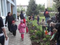 DSCF7447.jpg