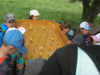 DSCN3531.jpg