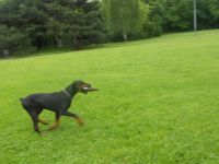 DSCN0443.JPG