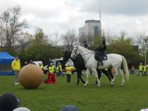 DSCN1079.JPG