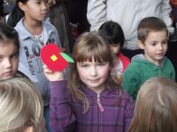 DSCF5681.jpg