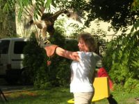 DSCN2718.jpg