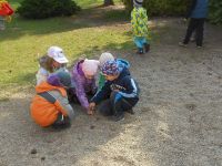 DSCN3940.jpg