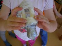 DSCN2275.jpg