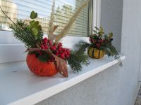 IMG_0068.jpg