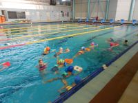 DSCN4900.jpg