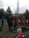 DSCN4915.jpg
