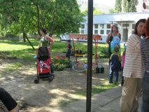 image44.jpg