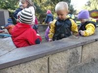 DSCF5594.jpg