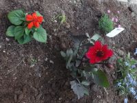 DSCF7499.jpg