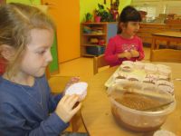 IMG_2923.jpg