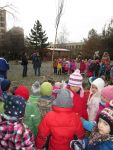 IMG_2745.jpg