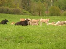 image021.jpg