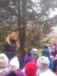 DSC00588.jpg