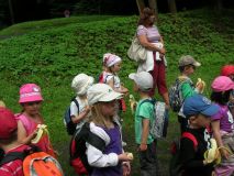 image17.jpg