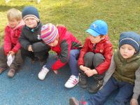 DSCN3964.jpg