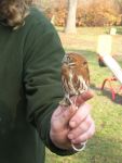 DSCN6678.JPG