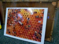 IMG_20171113_094624.jpg