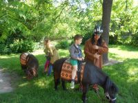 DSCN0467.jpg