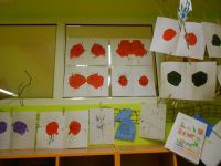 DSCN0904.jpg