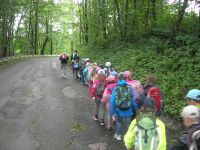 DSCN3520.jpg