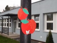 DSCF5619.jpg