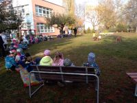 IMG_20181107_104128.jpg