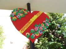 DSCN0516.JPG