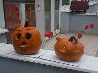 DSC00463.jpg