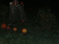 DSCN3895.jpg