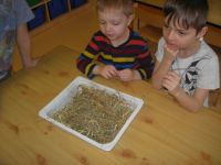 DSCN4143.jpg