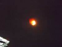 DSCF5908.JPG