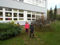 DSCN1518.jpg