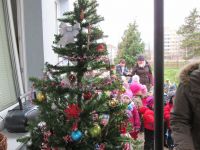 IMG_0250.jpg
