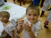 DSC00538.jpg