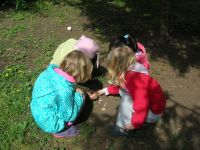 DSCN3329.jpg