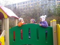 DSC03017.jpg