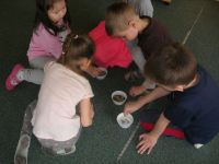 DSCN4083.jpg