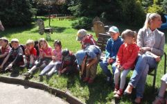 DSCF4142.jpg